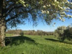 Großzügiges Einfamilienhaus mit Einliegerwohnung mitten in der Natur! - Bild